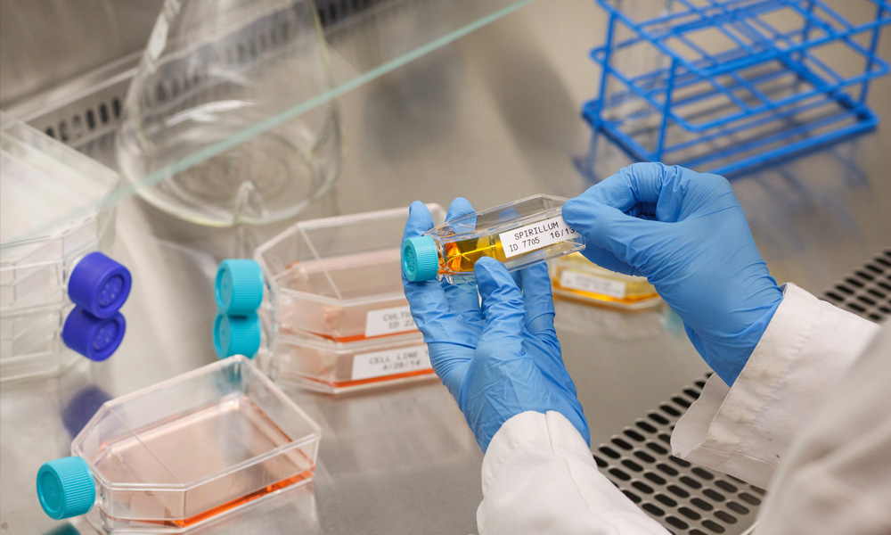 Geniş bir uygulama yelpazesini kapsayan B30 serisi etiketlerin bir kolajı.