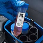 Santrifüj içine takılan bir test tüpü üzerindeki etiket.