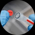 Uyumlu bir renkle tüpün üstüne uygulanan, baskılı metne sahip kırmızı bir etiket.