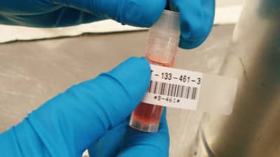 Brady kendinden laminasyonlu etiketi bir numune tüpüne uygulayan laboratuvar teknisyeni.