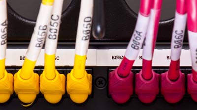 Beyaz etiketlerle tanımlanmış bir pano içindeki sarı ve kırmızı kablo grupları.