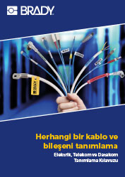 ElectricalIDGuideBook